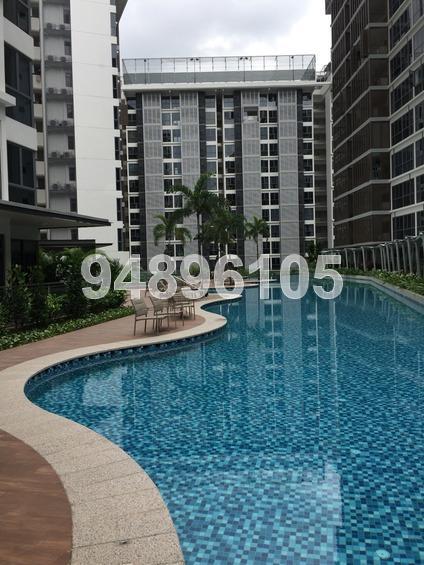 Watertown (D19), Apartment #166574362